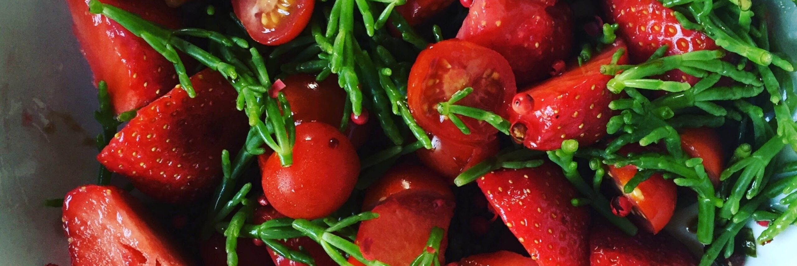 Aardbeien tomatensalsa en zeekraal VVV Texel Fotograaf Annette van Ruitenburg