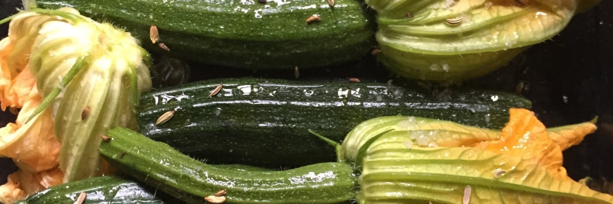 Courgette VVV Texel Fotograaf Annette van Ruitenburg