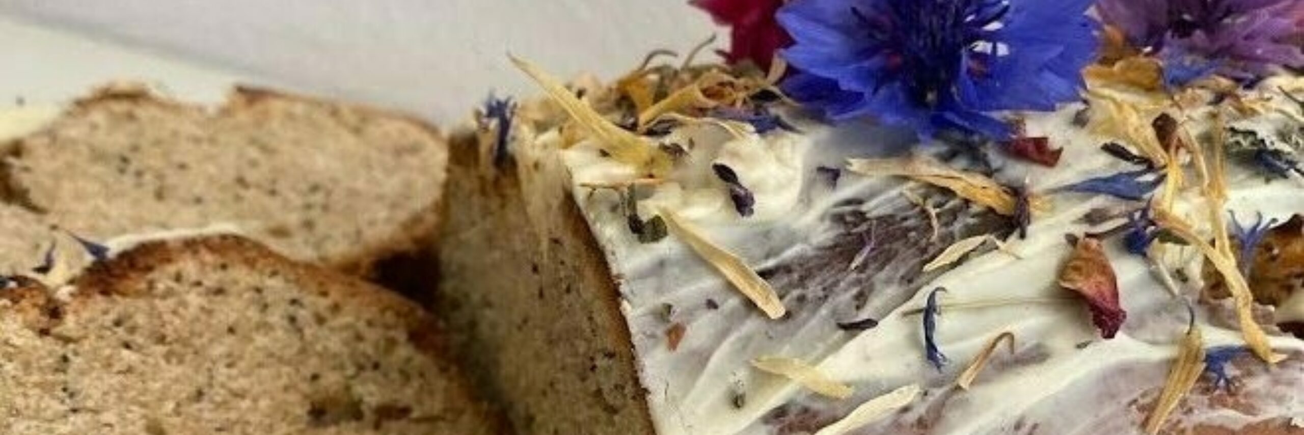 Maanzaadcake VVV Texel fotograaf Annette van Ruitenburg