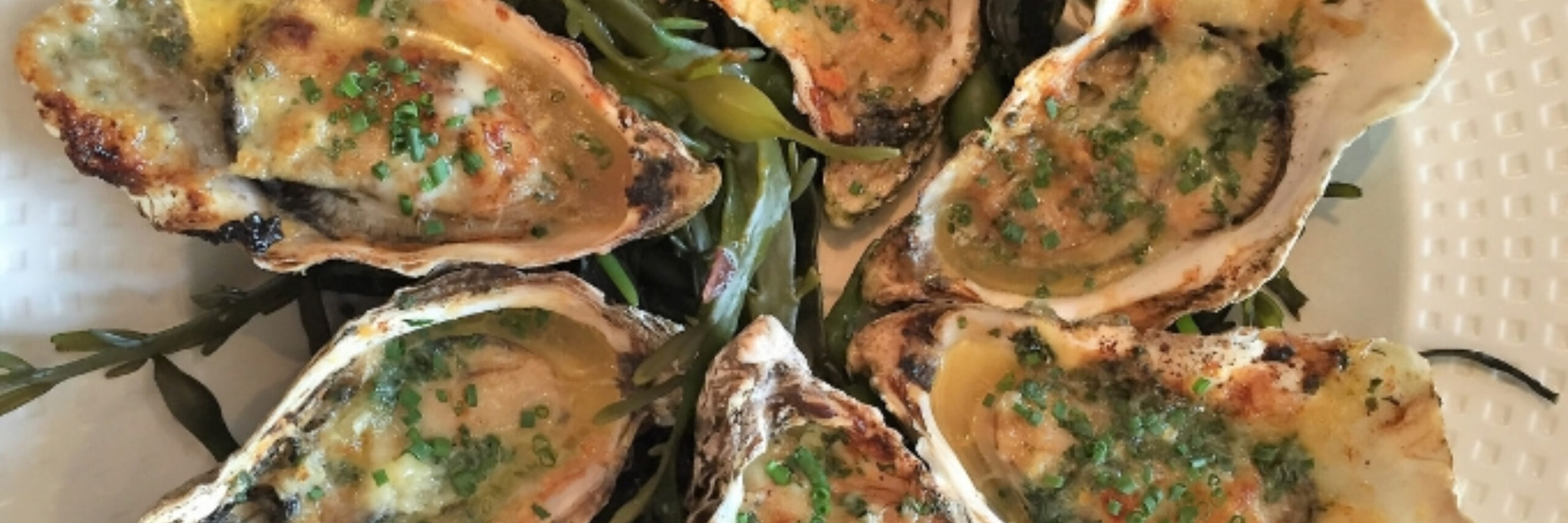 Oesters in Texels Bier VVV Texel Fotograaf Annette van Ruitenburg 2