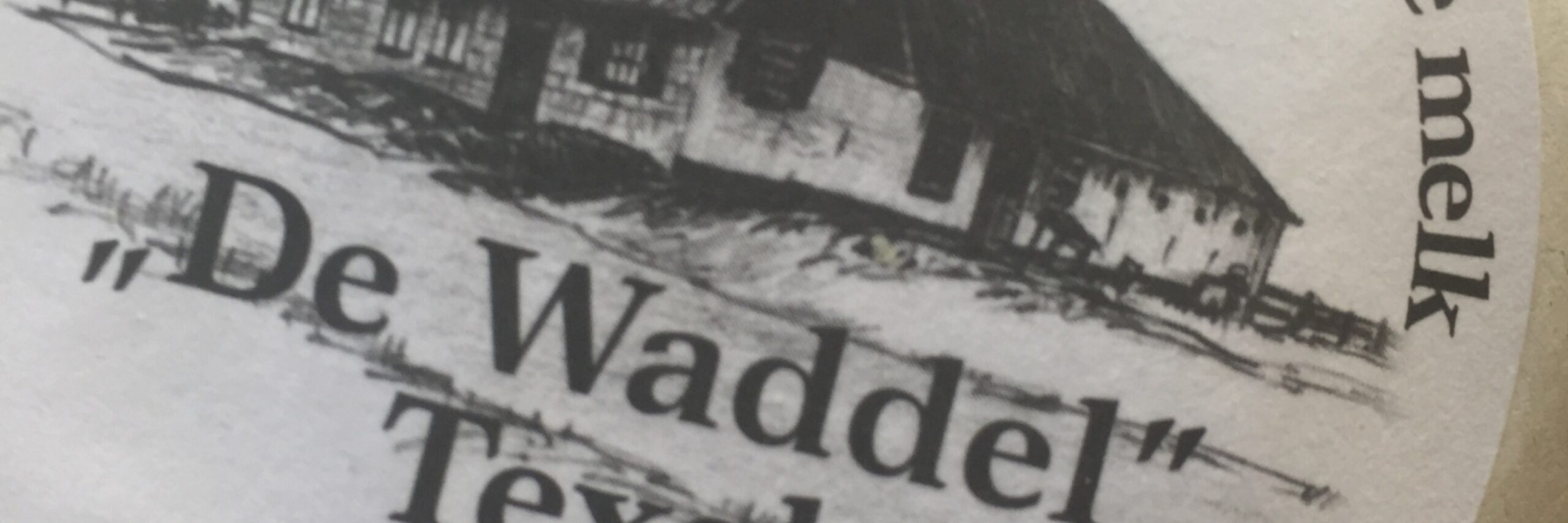Schapenkaas de Waddel VVV Texel