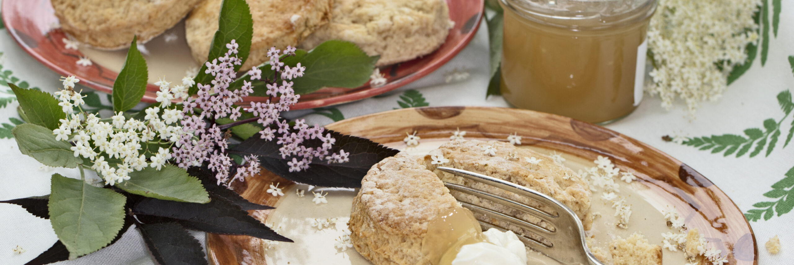 Scones met Vlierbloesem VVV Texel Annette van Ruitenburg