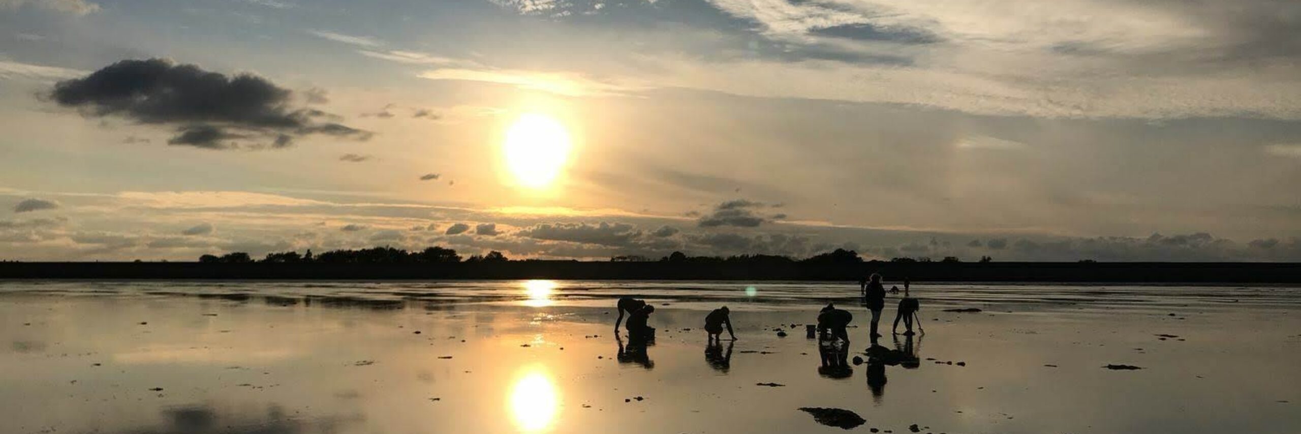 Wadlopen VVV Texel Fotograaf Annette van Ruitenburg