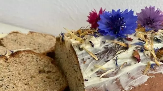 Maanzaadcake VVV Texel fotograaf Annette van Ruitenburg