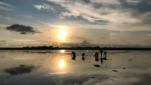 Wadlopen VVV Texel Fotograaf Annette van Ruitenburg