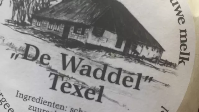 Schapenkaas de Waddel VVV Texel