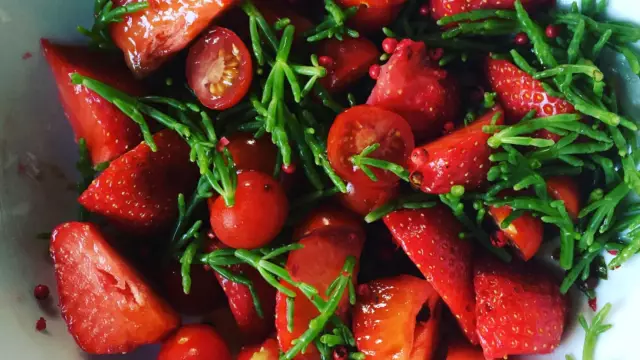 Aardbeien tomatensalsa en zeekraal VVV Texel Fotograaf Annette van Ruitenburg