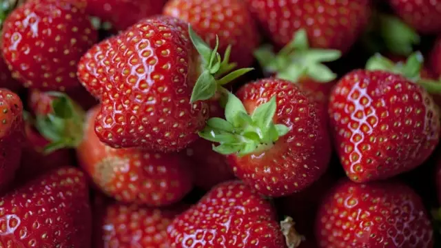 Texelse aardbeien VVV Texel Fotograaf Annette van Ruitenburg 2
