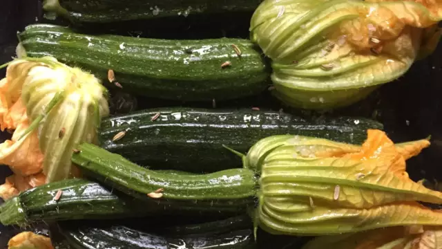 Courgette VVV Texel Fotograaf Annette van Ruitenburg