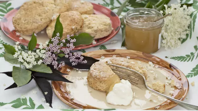 Scones met Vlierbloesem VVV Texel Annette van Ruitenburg