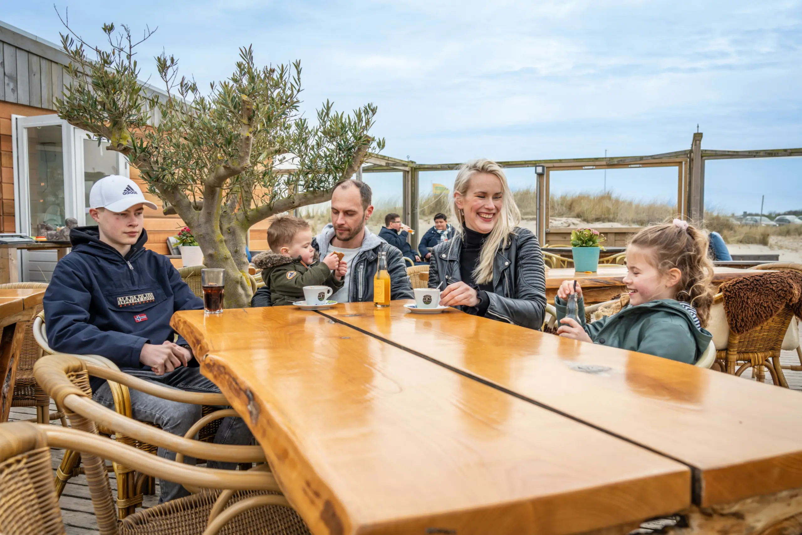 Terras Kaap Noord