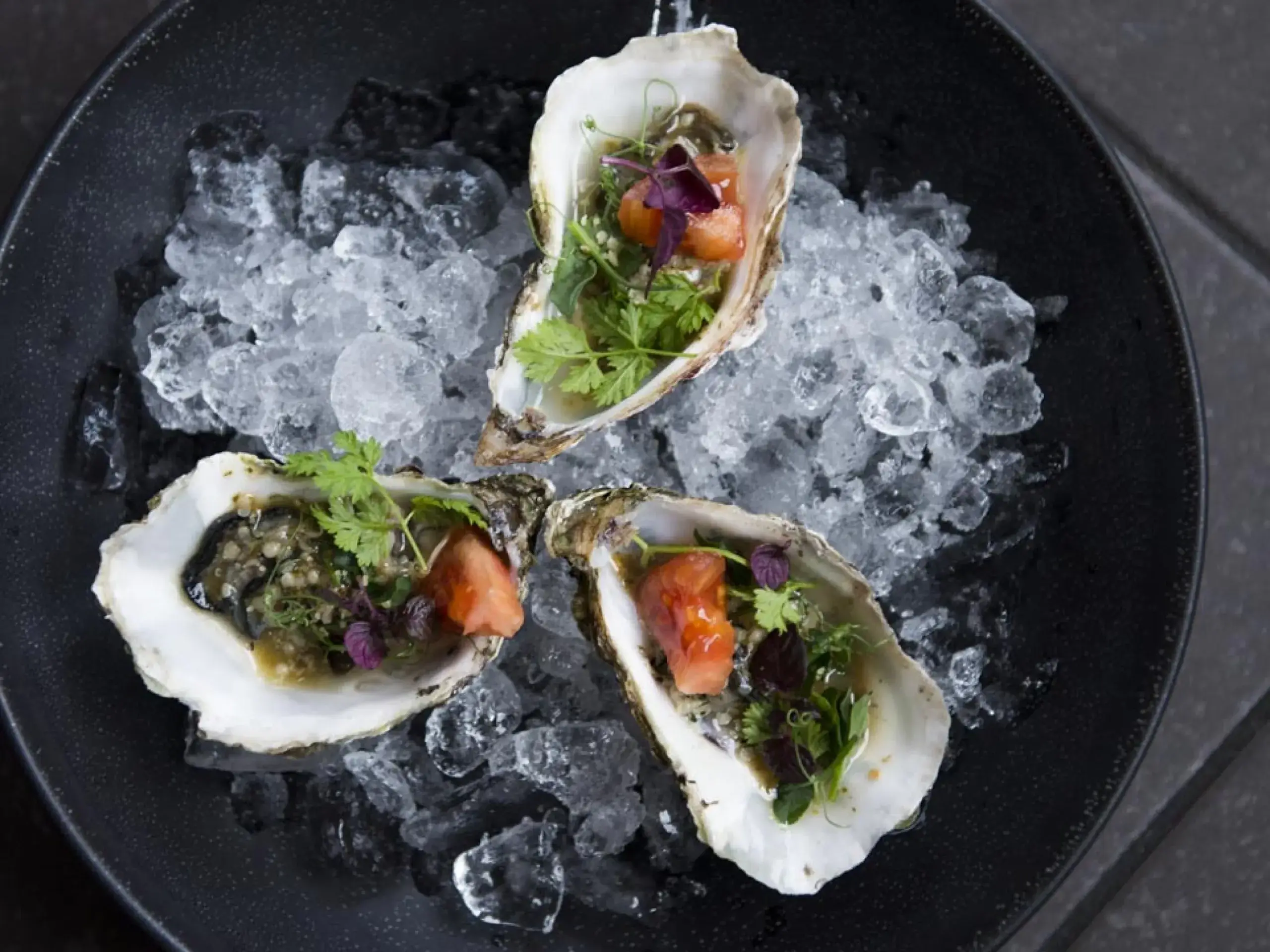 Oesters bij BOSQ