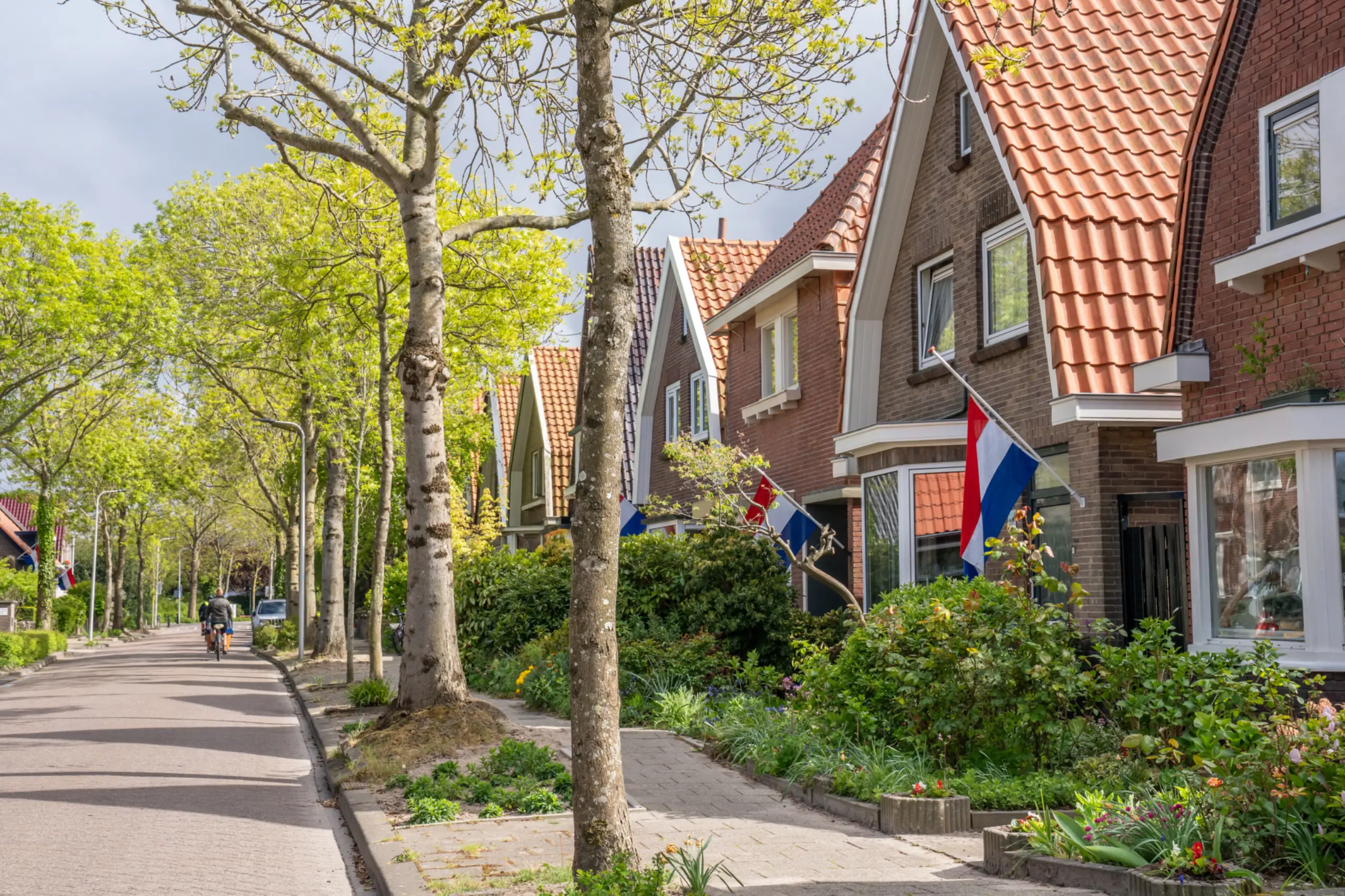 Vlaggen in de Wilhelminastraat op 4 mei
