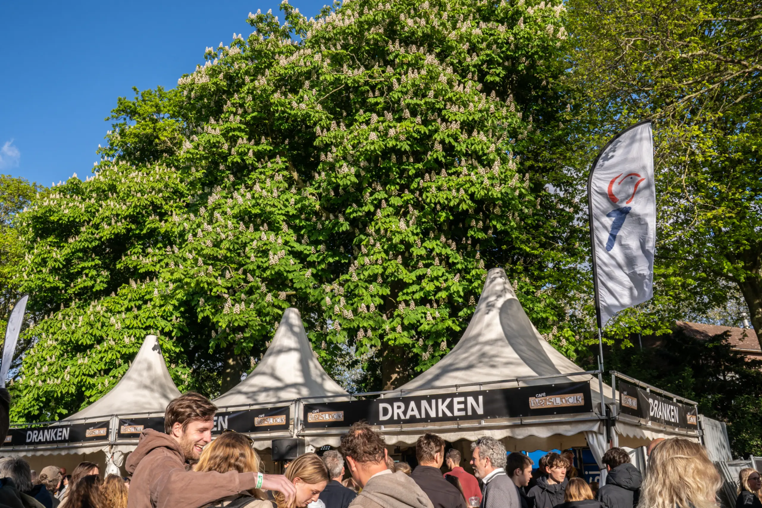 Bevrijdingsparkty
