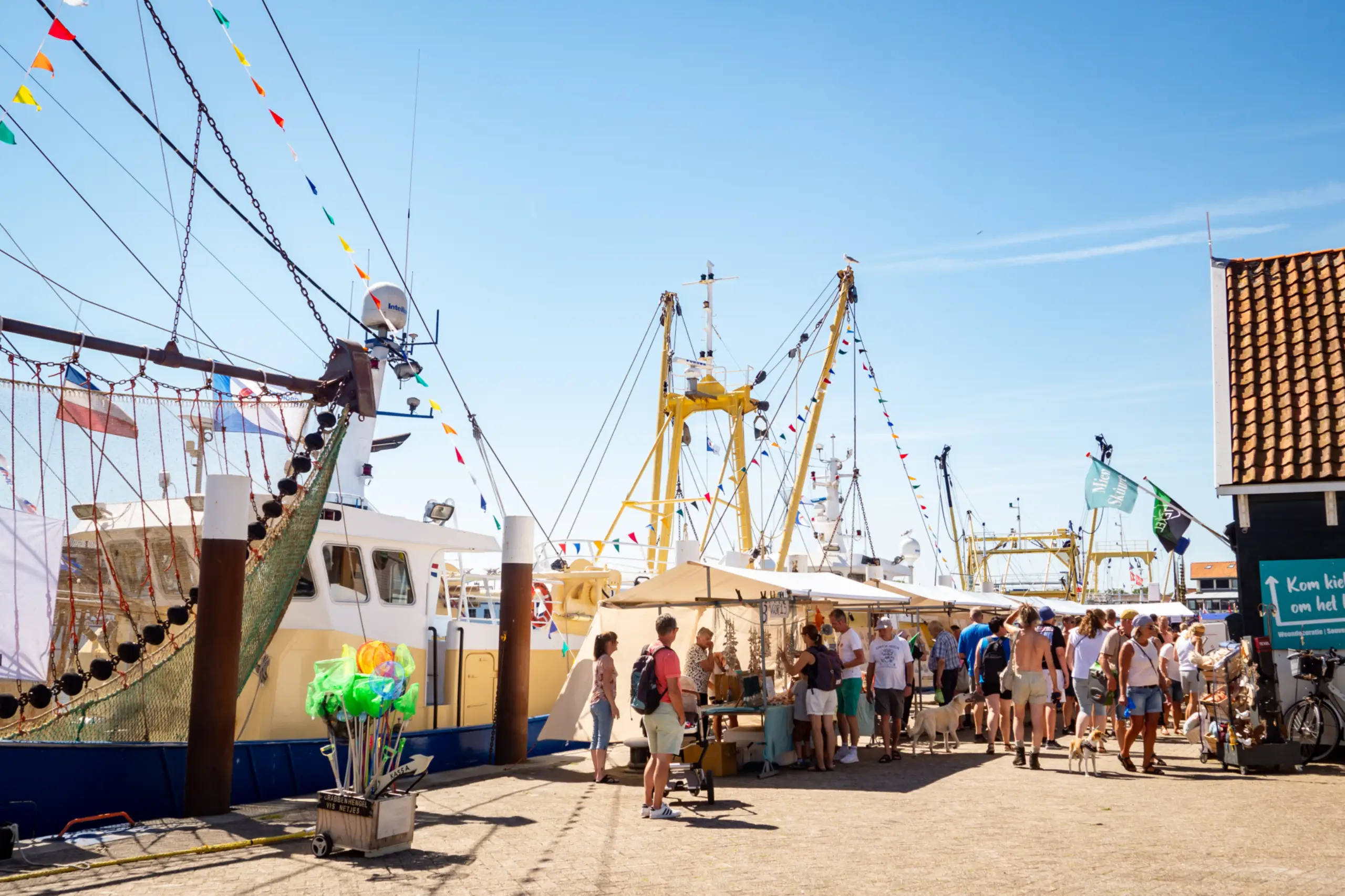 Havenvistijn