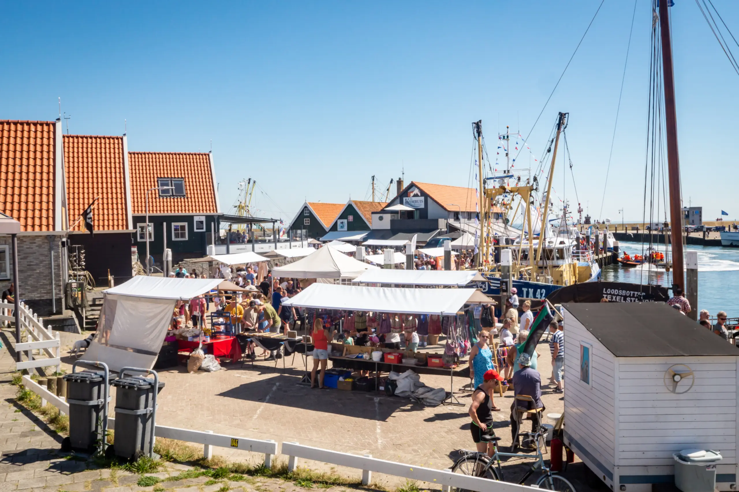 Havenvistijn