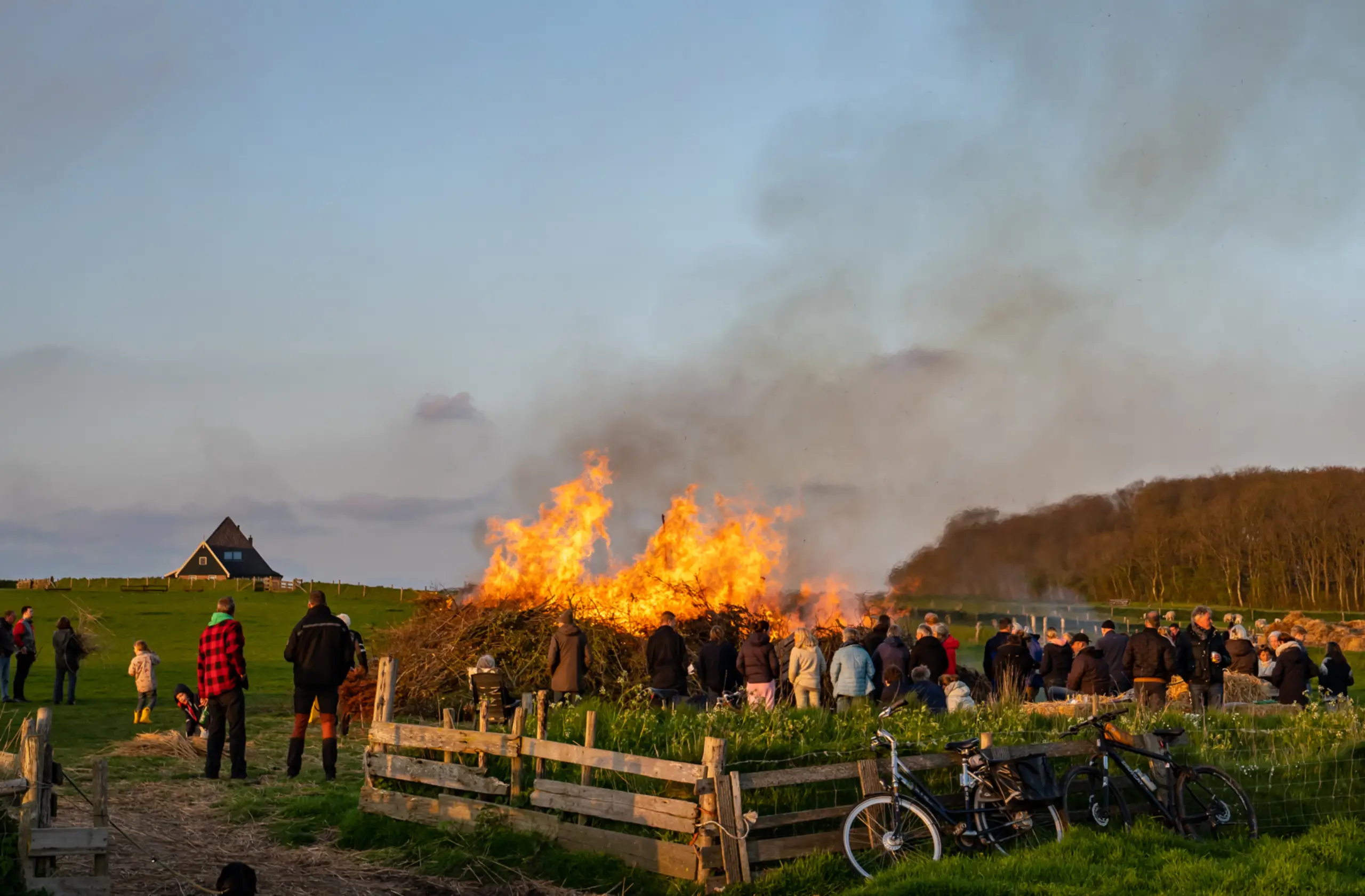 Meierblis op de Hoge Berg
