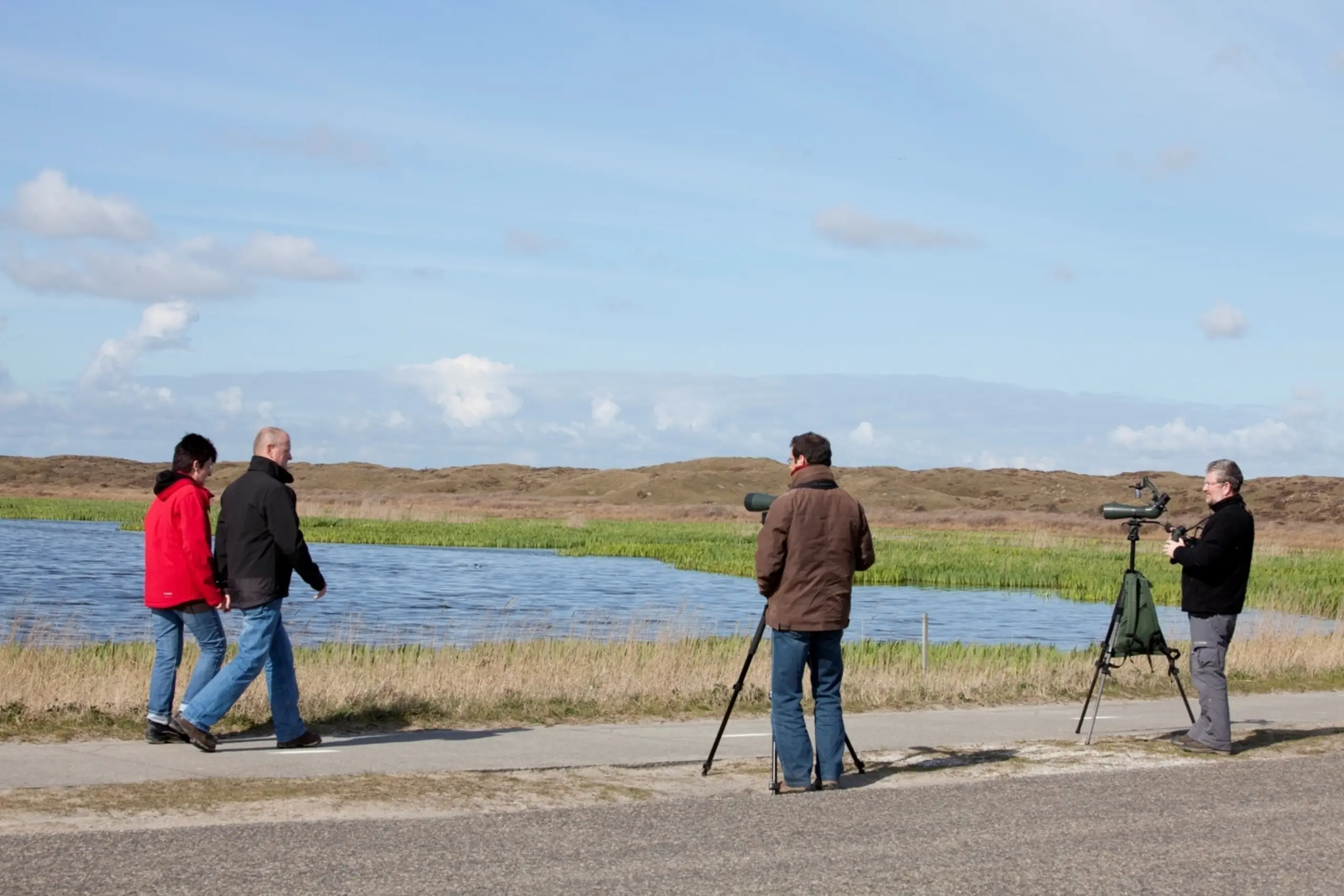 Dutch Birding Vogelweekend