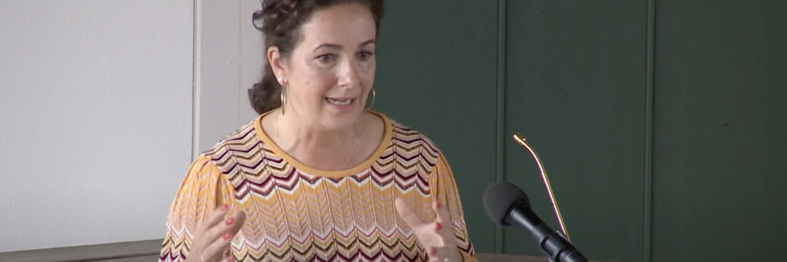 Femke Halsema Rede van Texel
