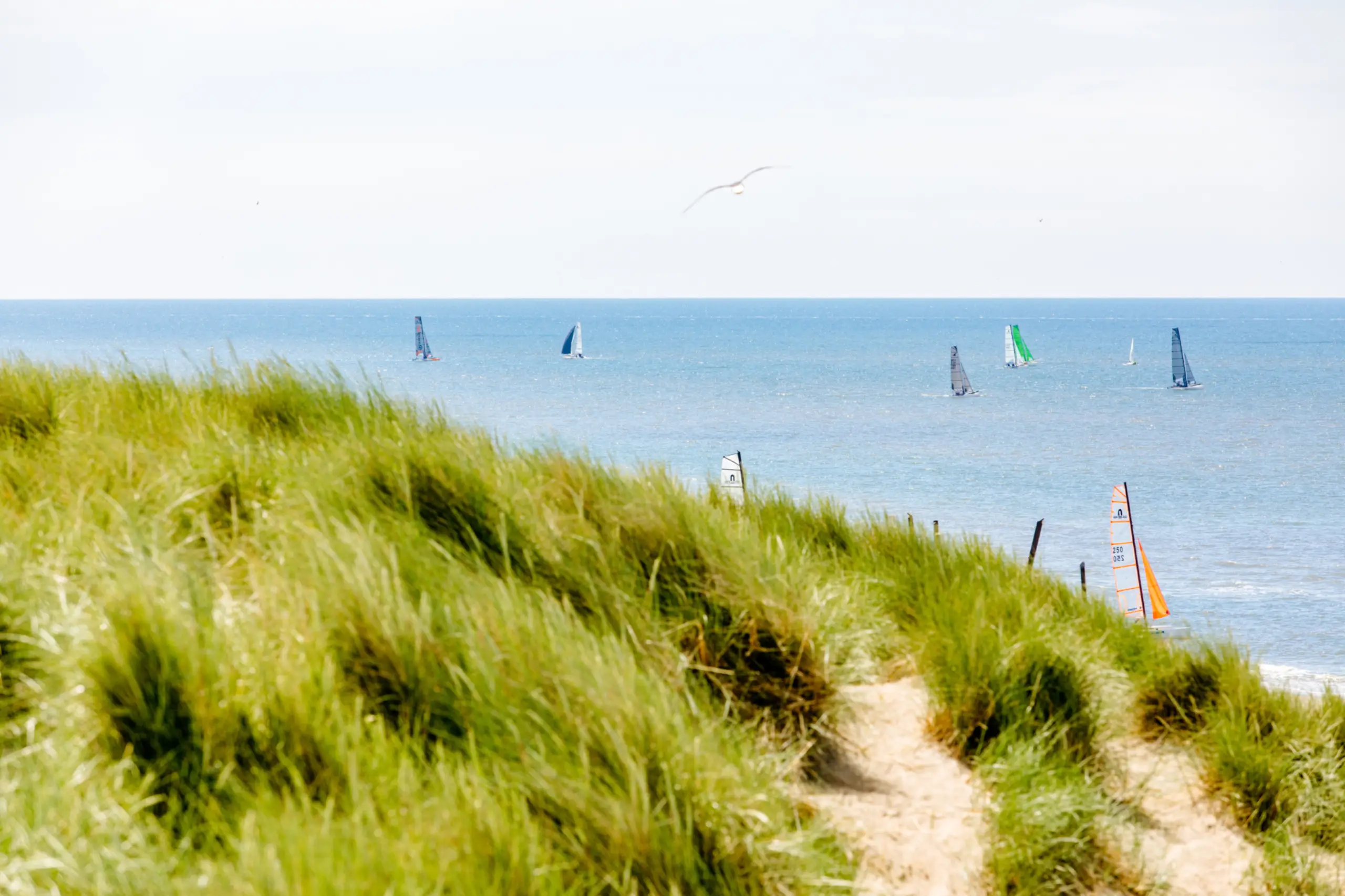 Ronde om Texel