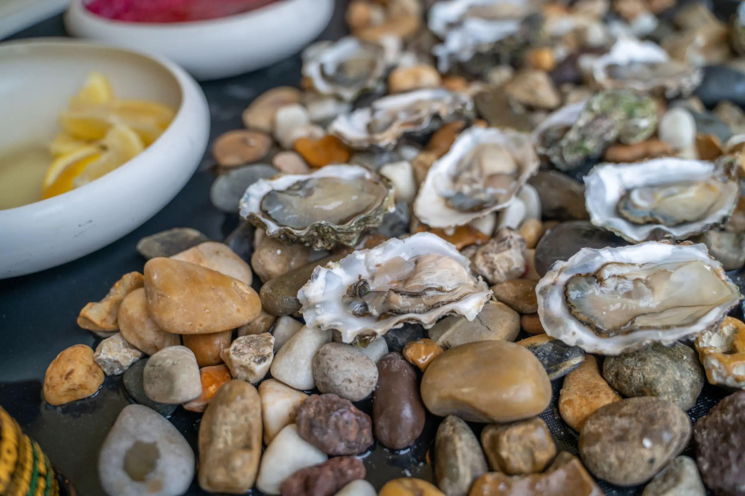 OystersTexel Culinair