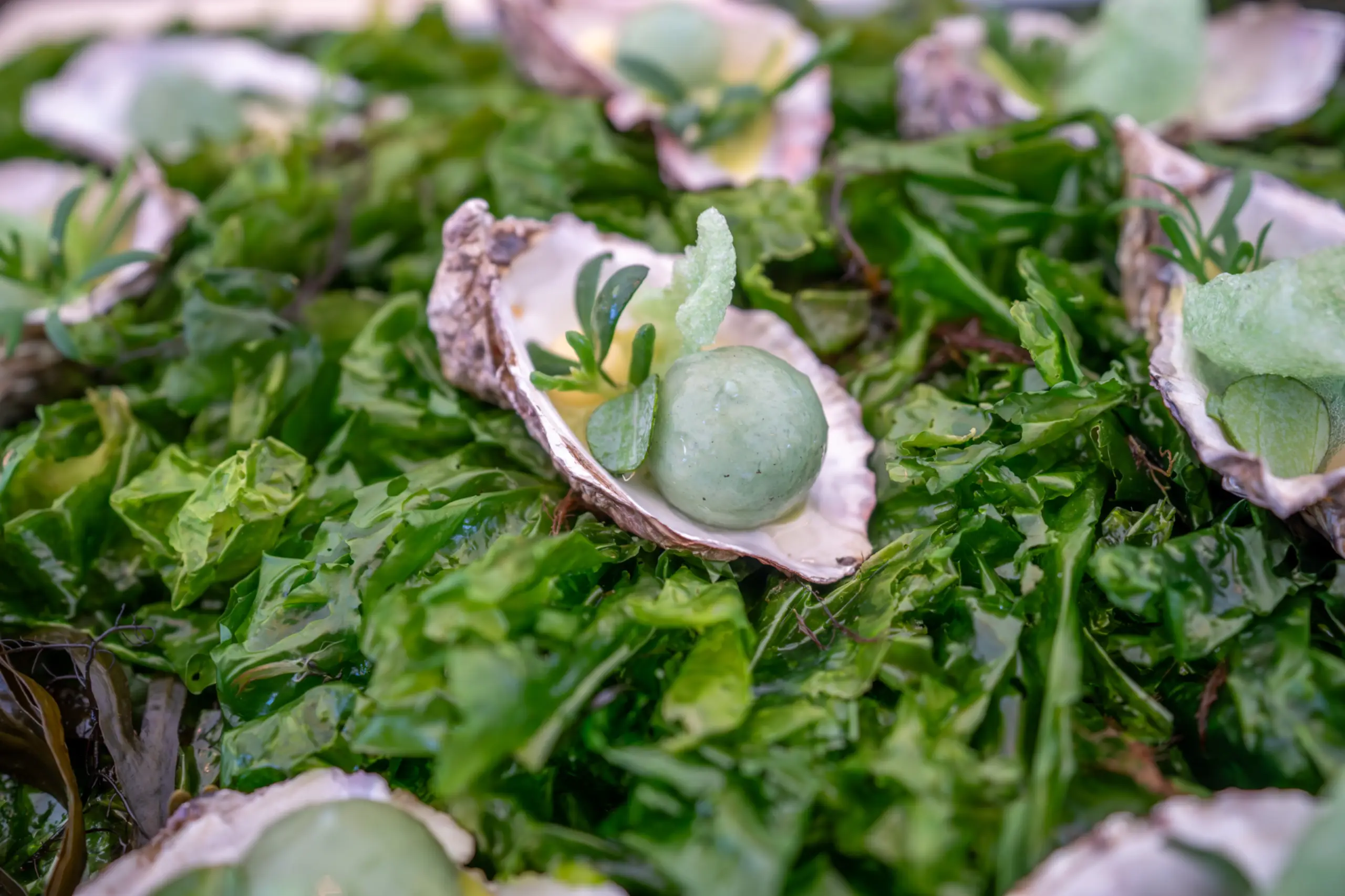 Gerecht met zilte groenten op Texel Culinair
