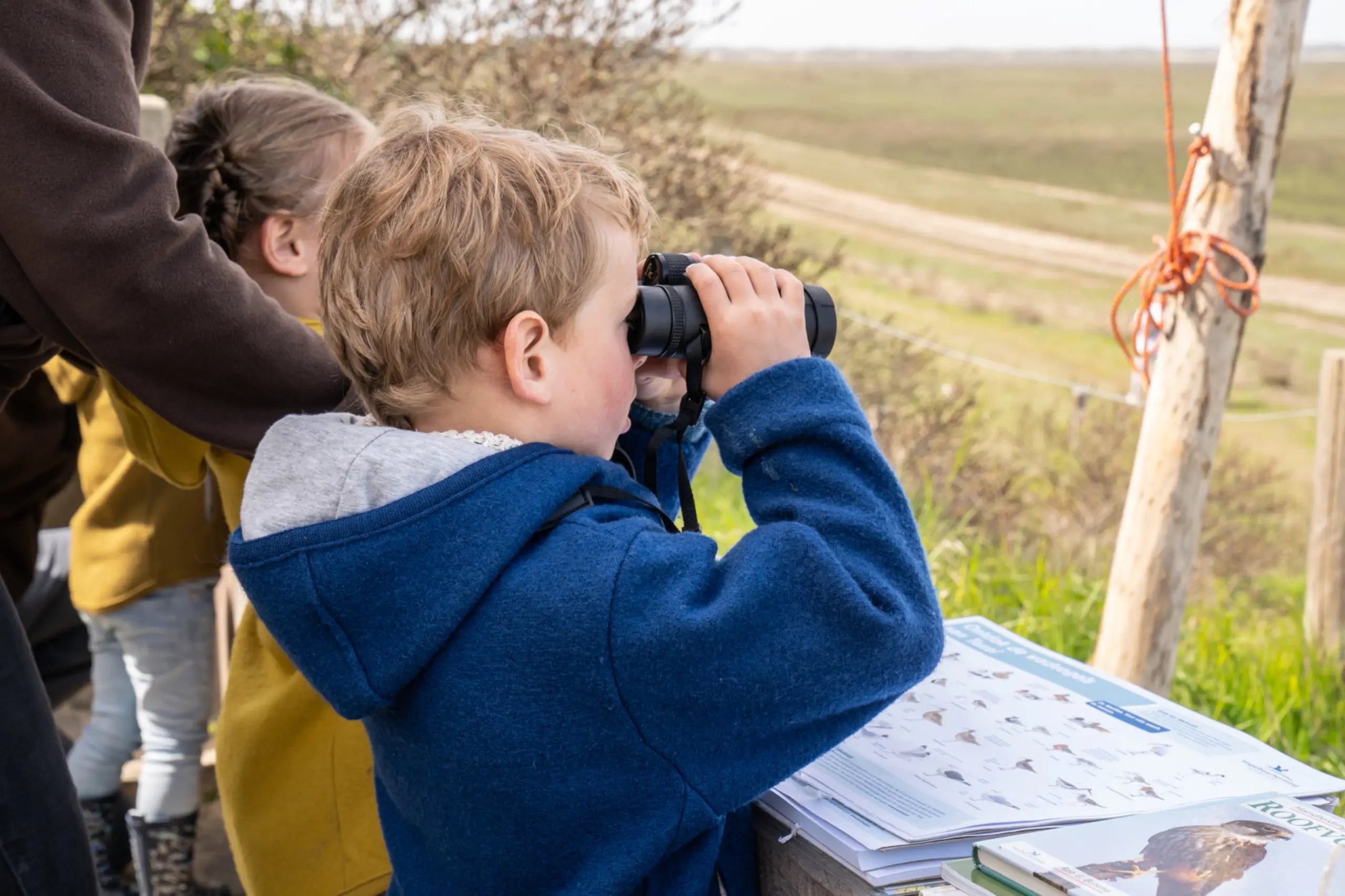 Wadden Vogelfestival
