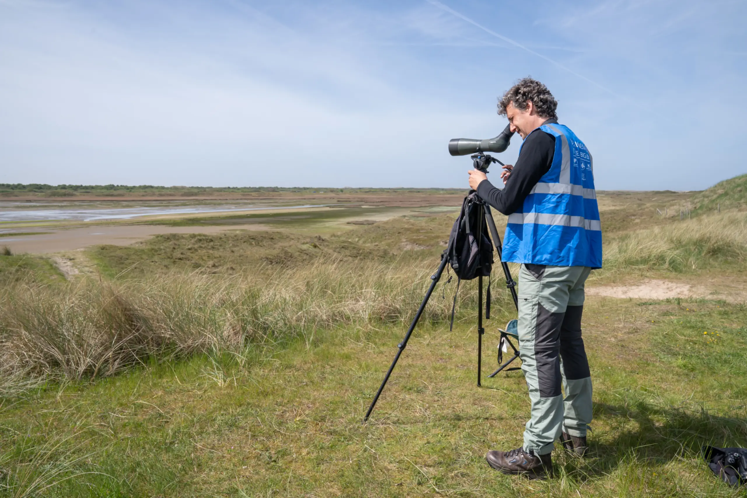 Wadden Vogelfestival