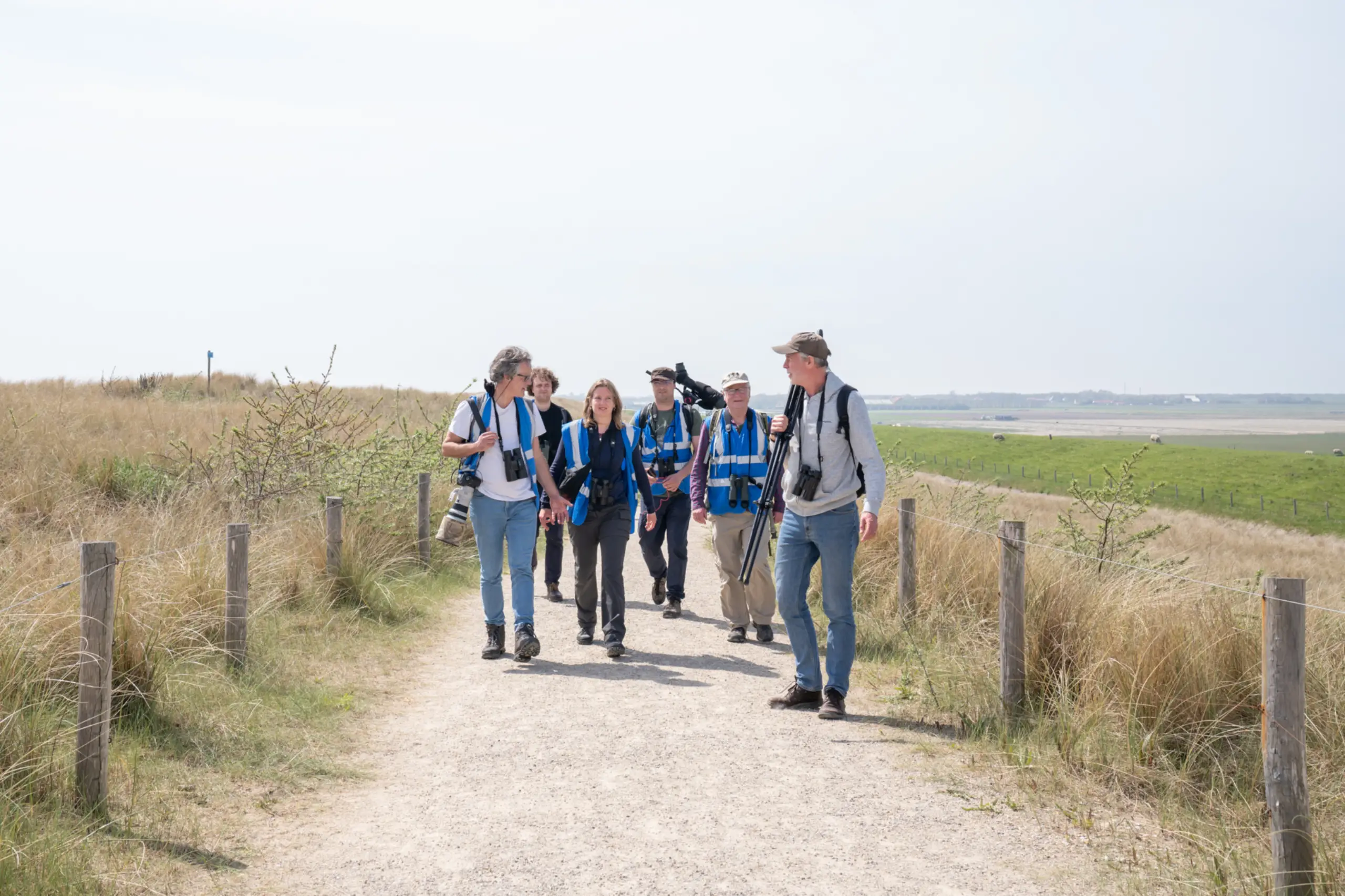 Wadden Vogelfestival