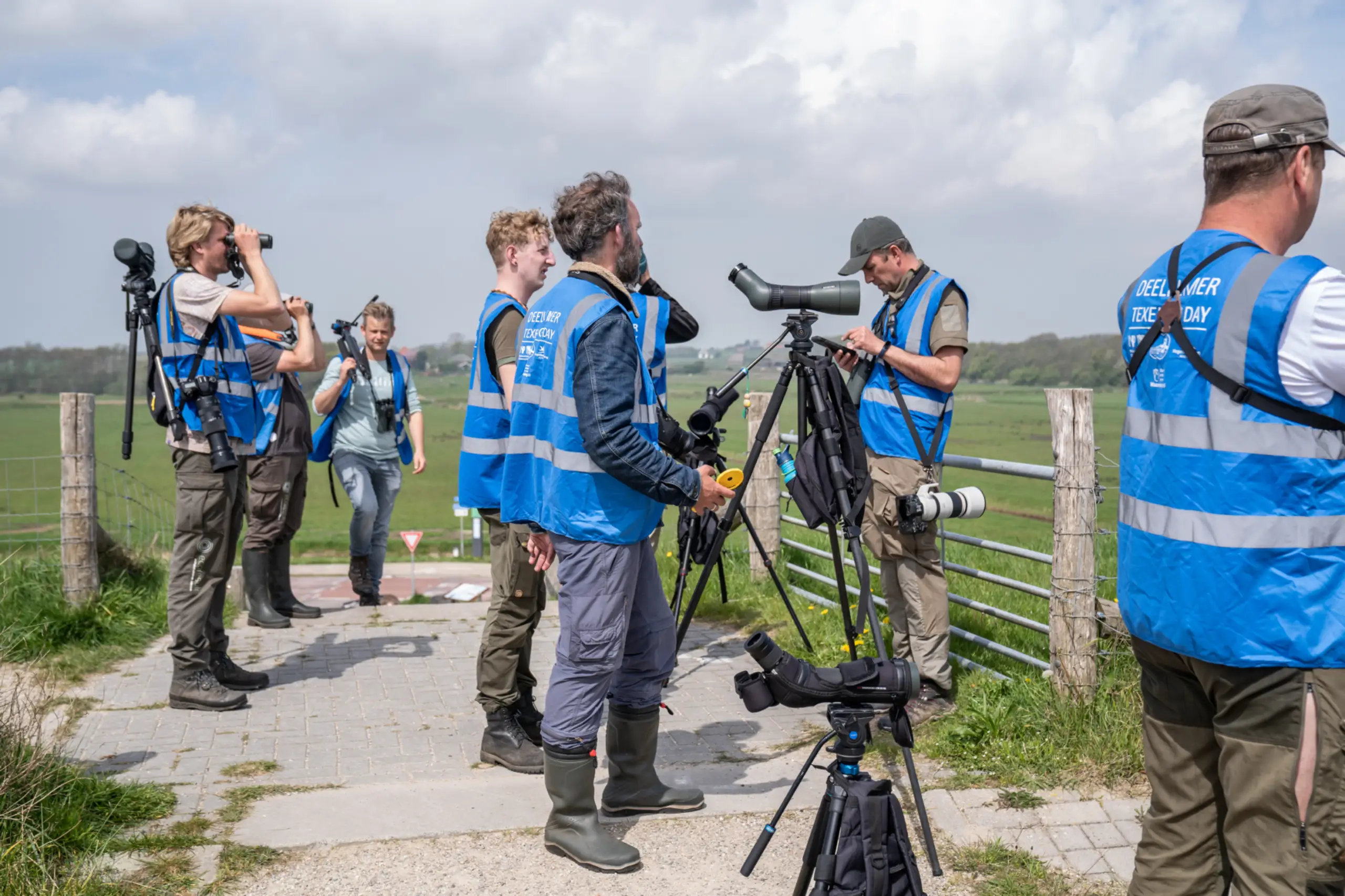 Texel Big Day - Wadden Vogelfestival