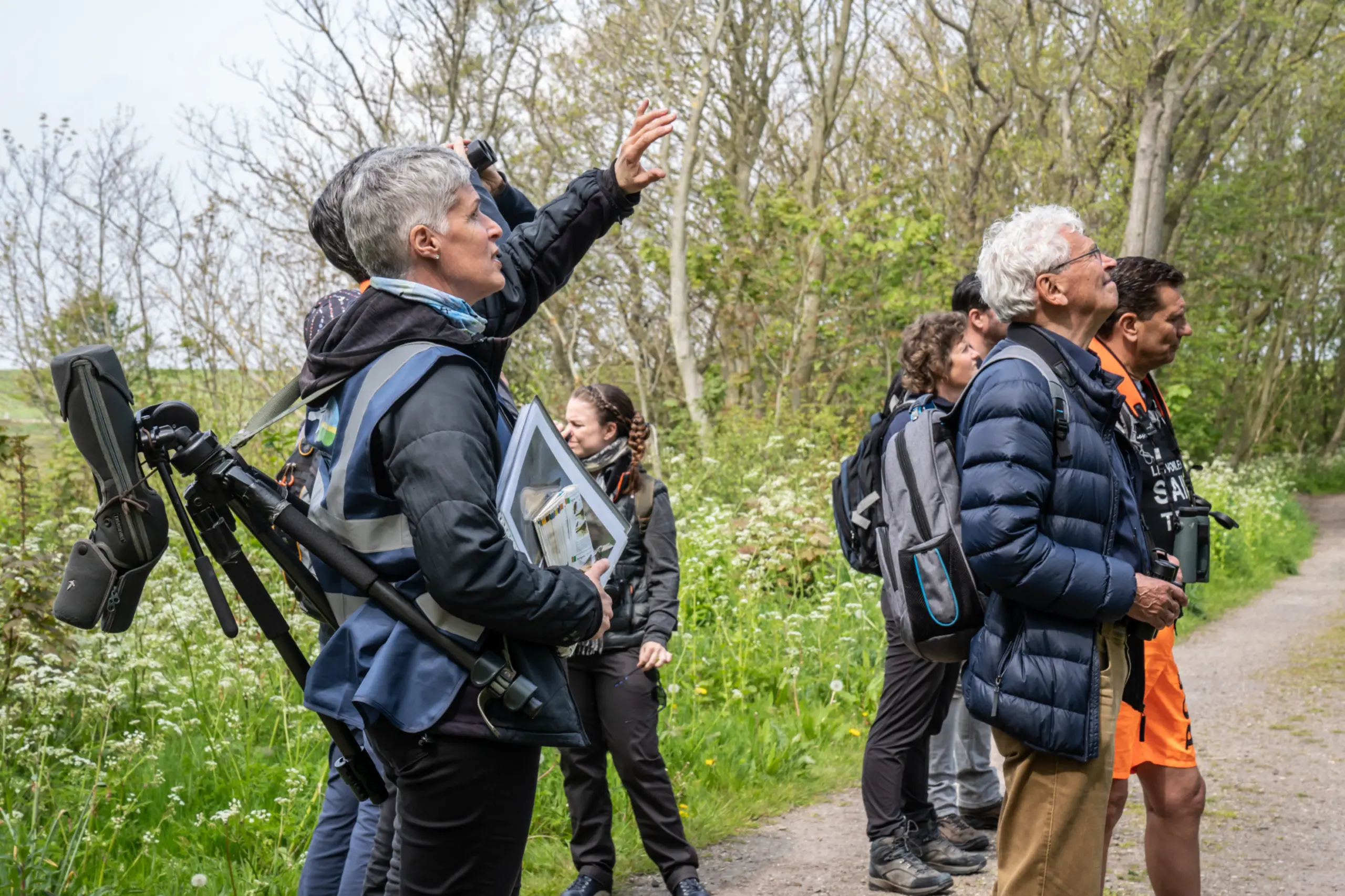 Wadden Vogelfestival