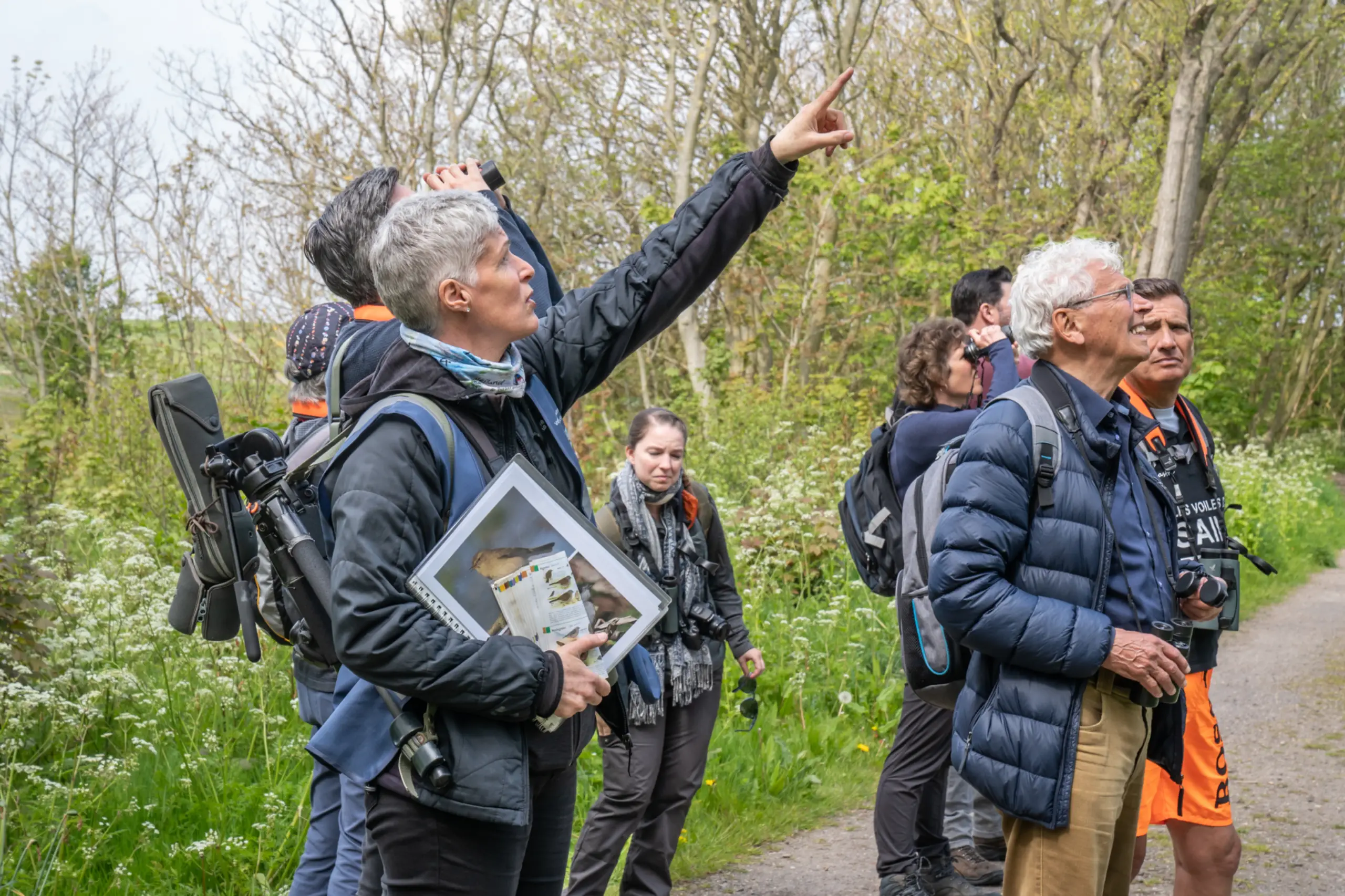 Vogelexcursie - Wadden Vogelfestival