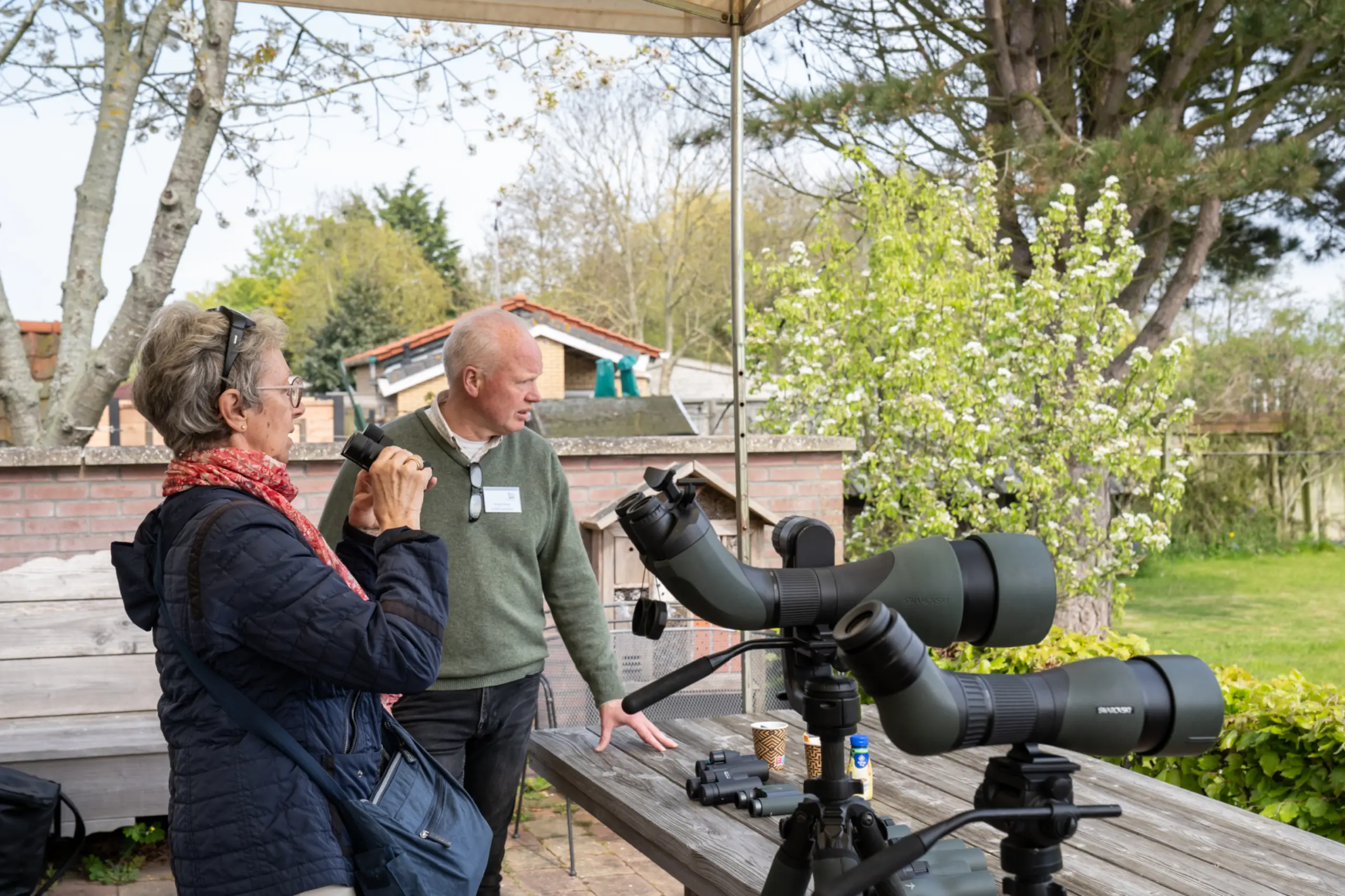 Wadden Vogelfestival