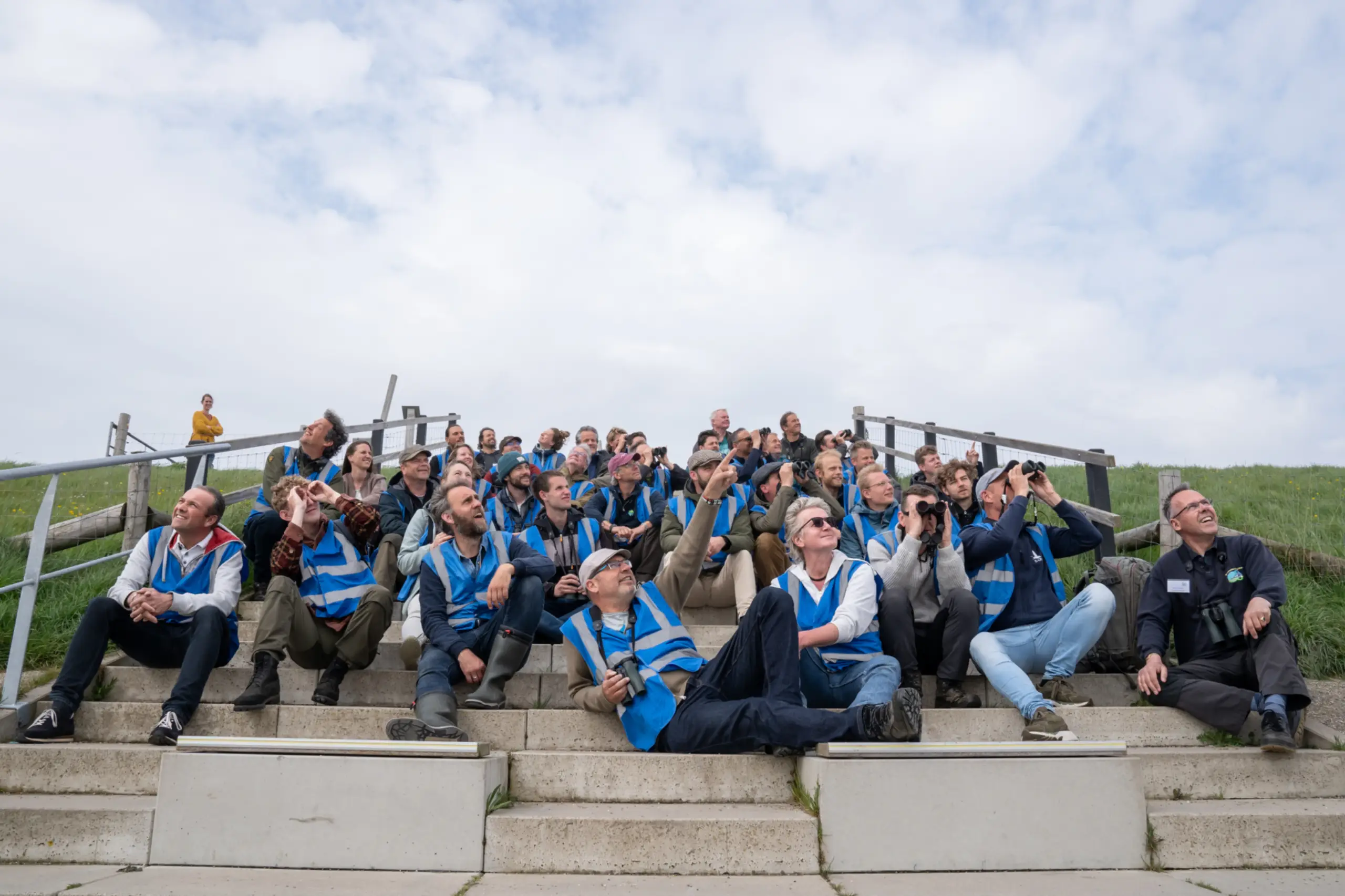 Wadden Vogelfestival