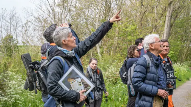 Vogelexcursie - Wadden Vogelfestival