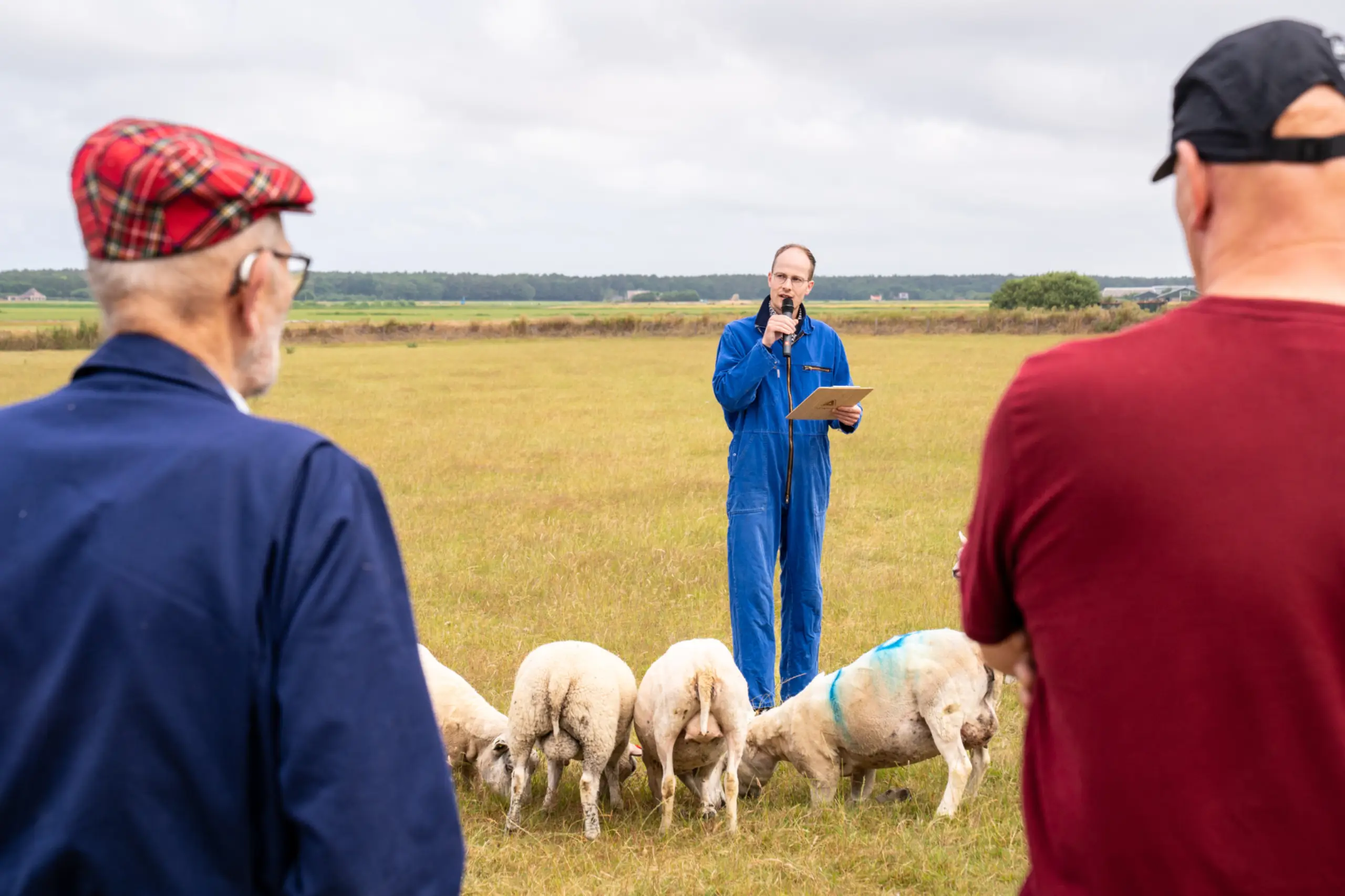Toelichting over de actie