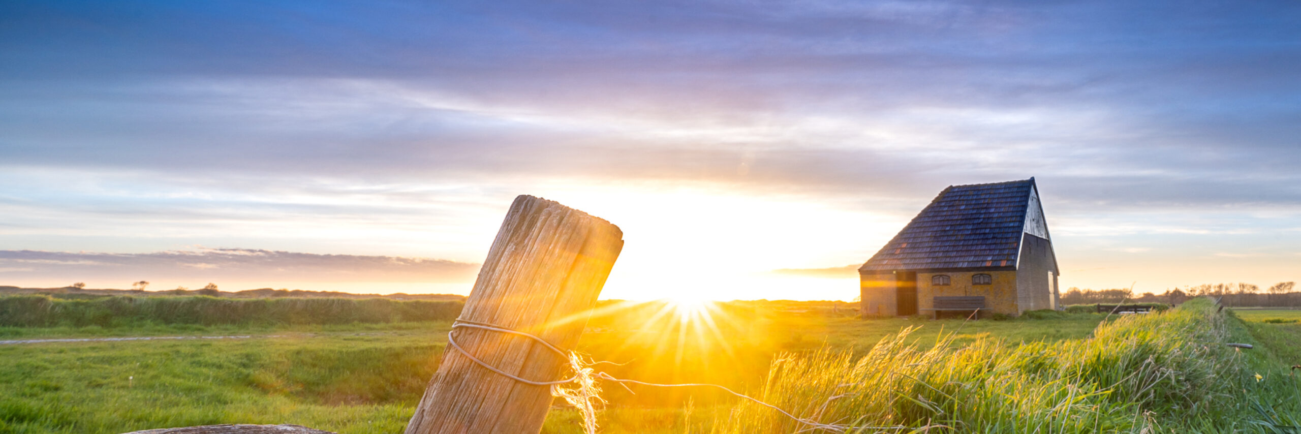 Schapenboet in het weiland VVV Texel fotograaf Rick Kuijten