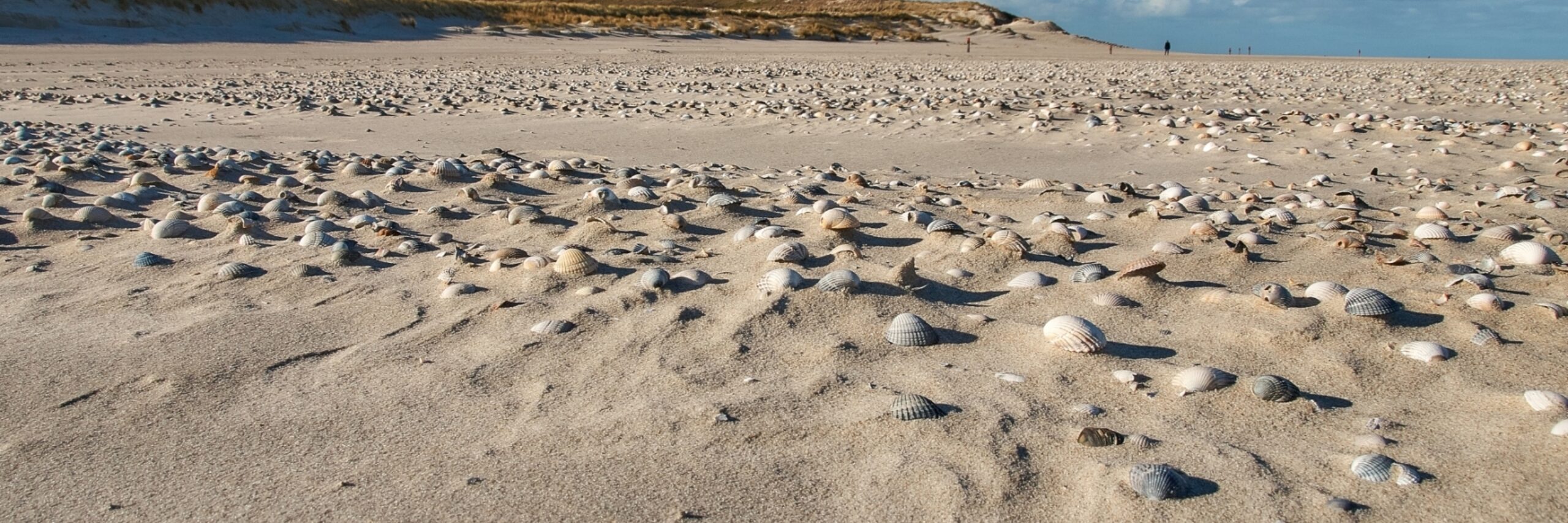 Vuurtoren met zandstrand VVV Texel fotograaf Justin Sinner