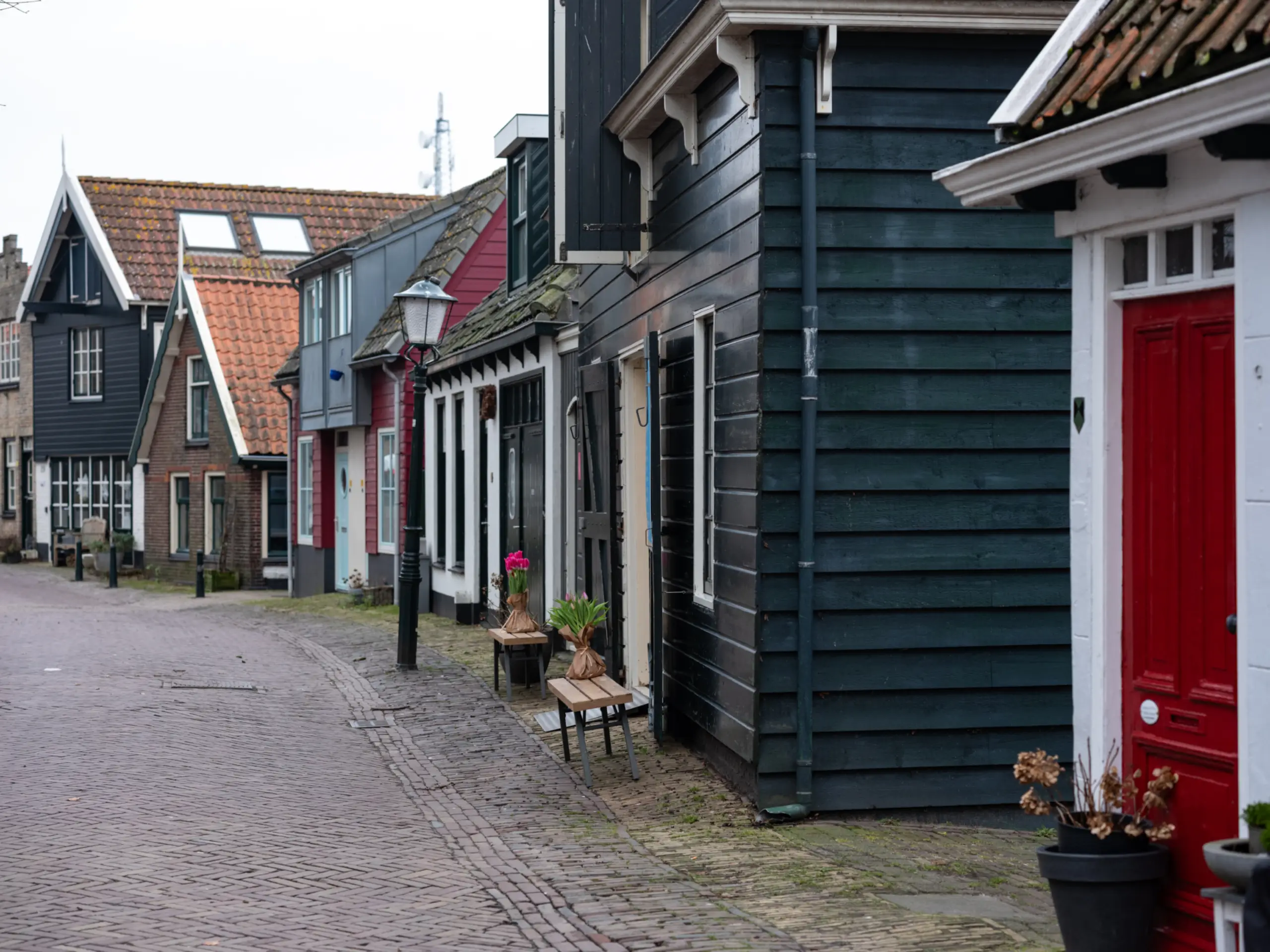 Foto uit Den Burg: het begon als een terpdorp