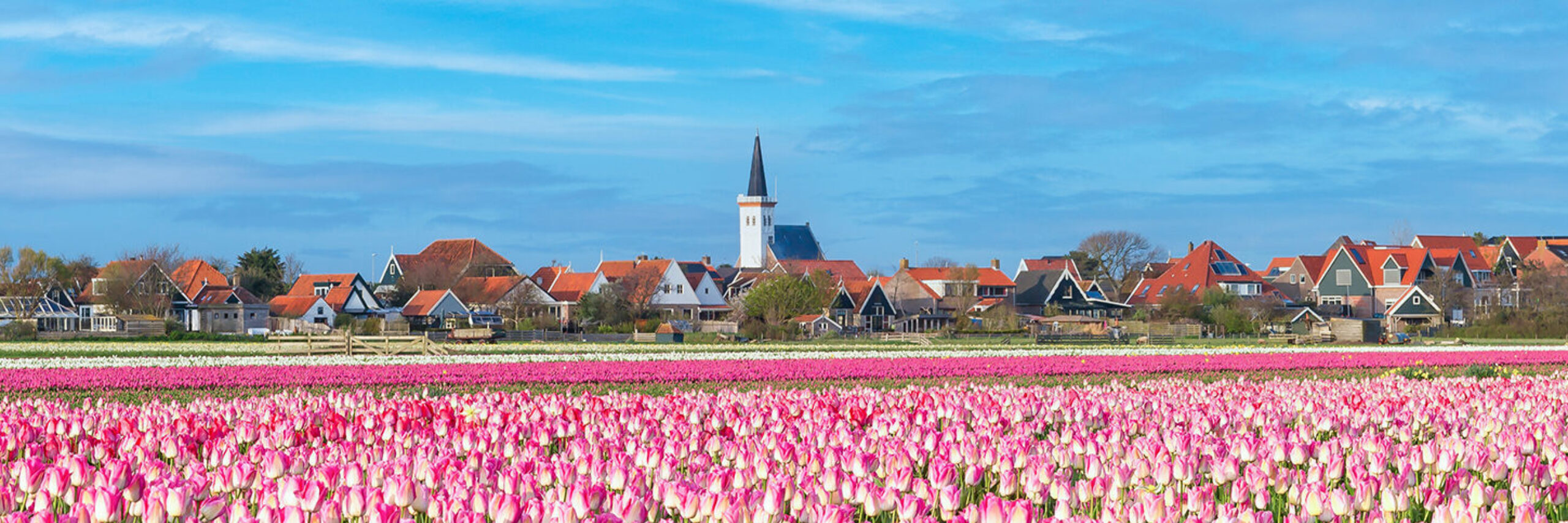 Frühling