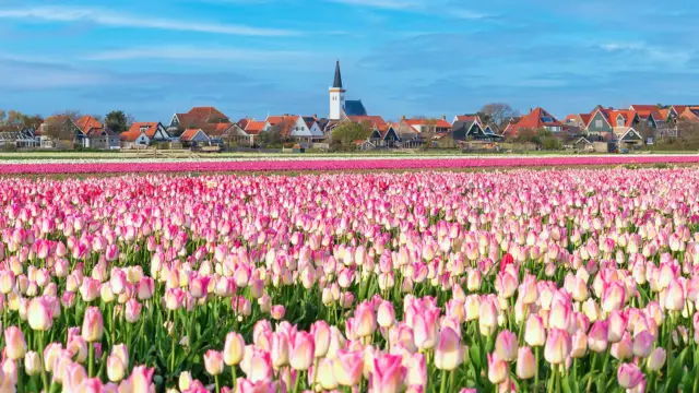 Frühling