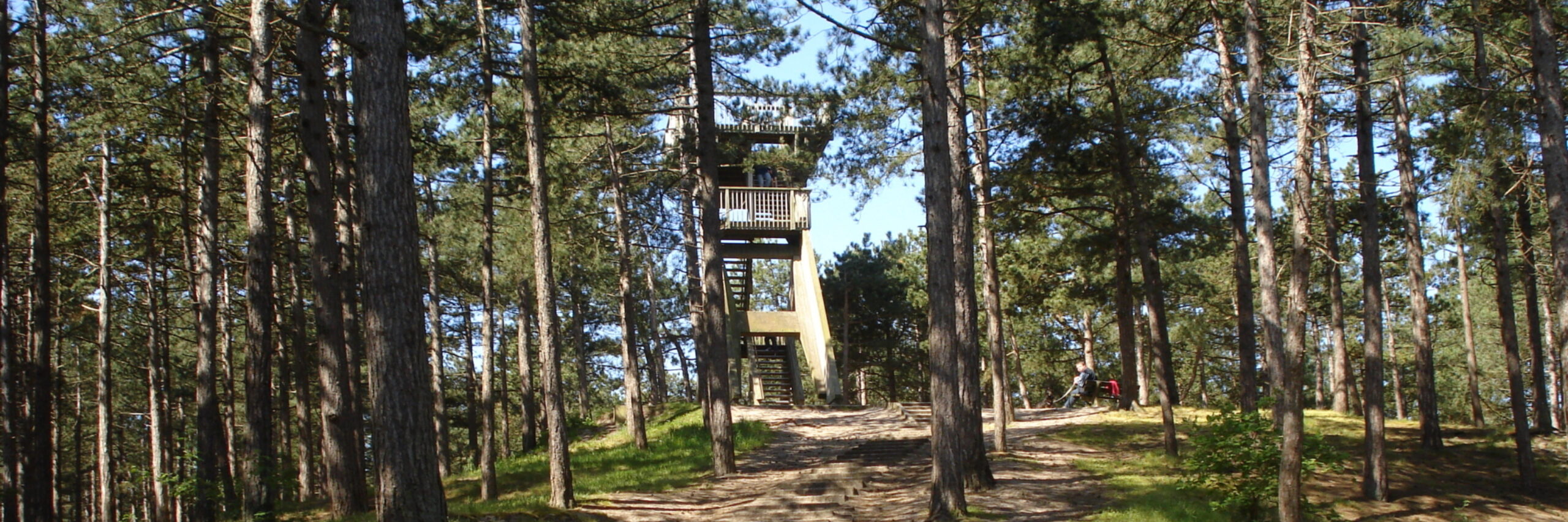 Dennenbos Fonteinsnol