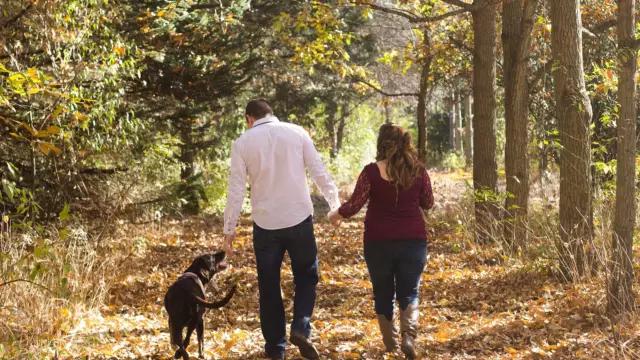 Walking the dog in the woods