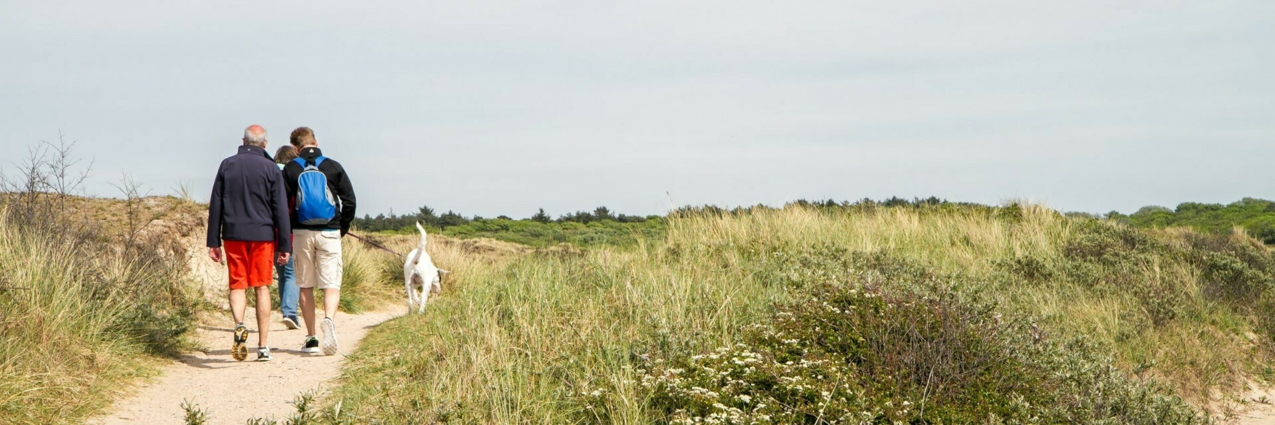 Wandelen in de duinen met hond