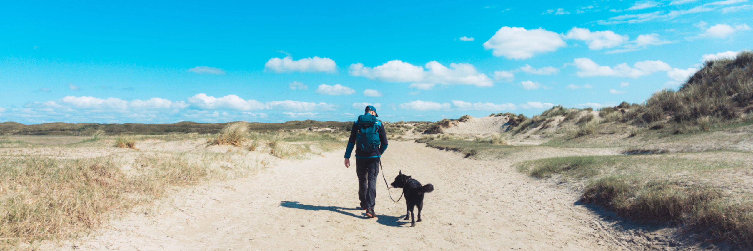 Wandern mit dem Hund