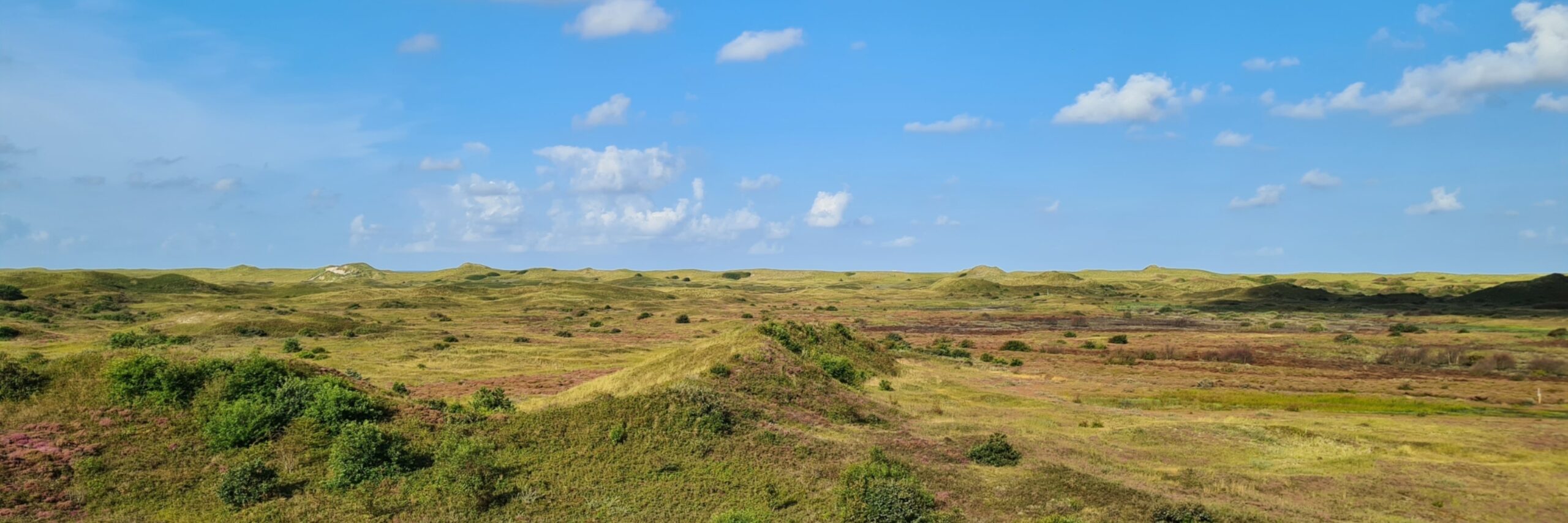 Westerduinen Franciska van Gortel 2