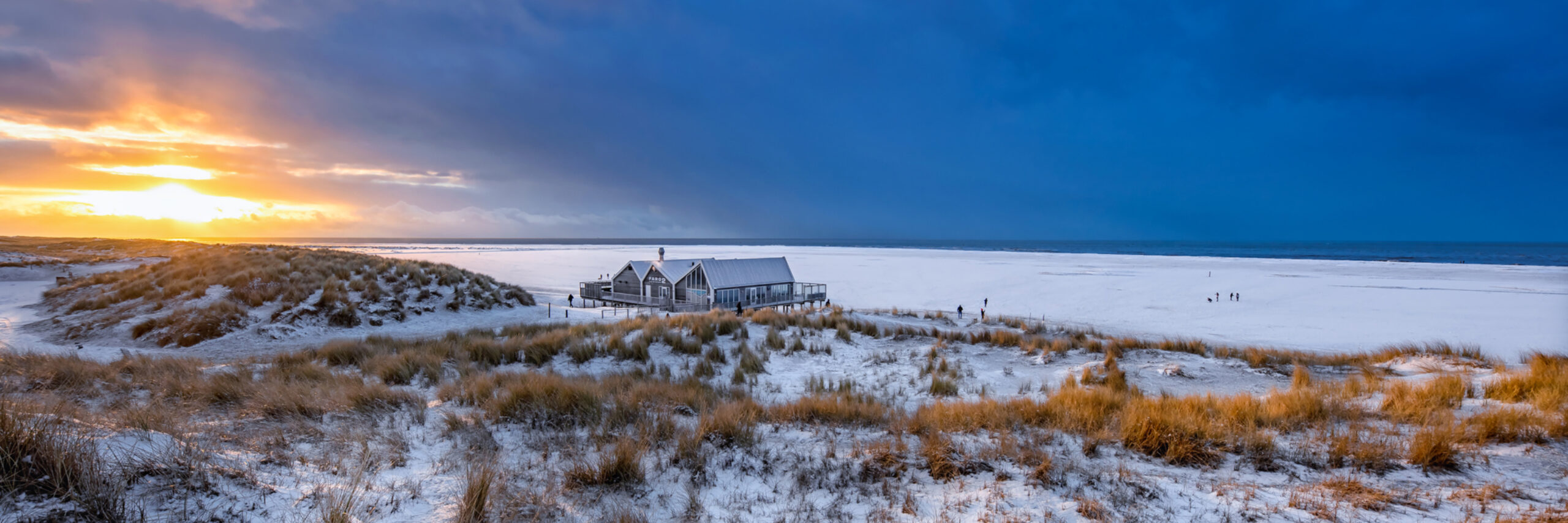 Winterbeeld Texel