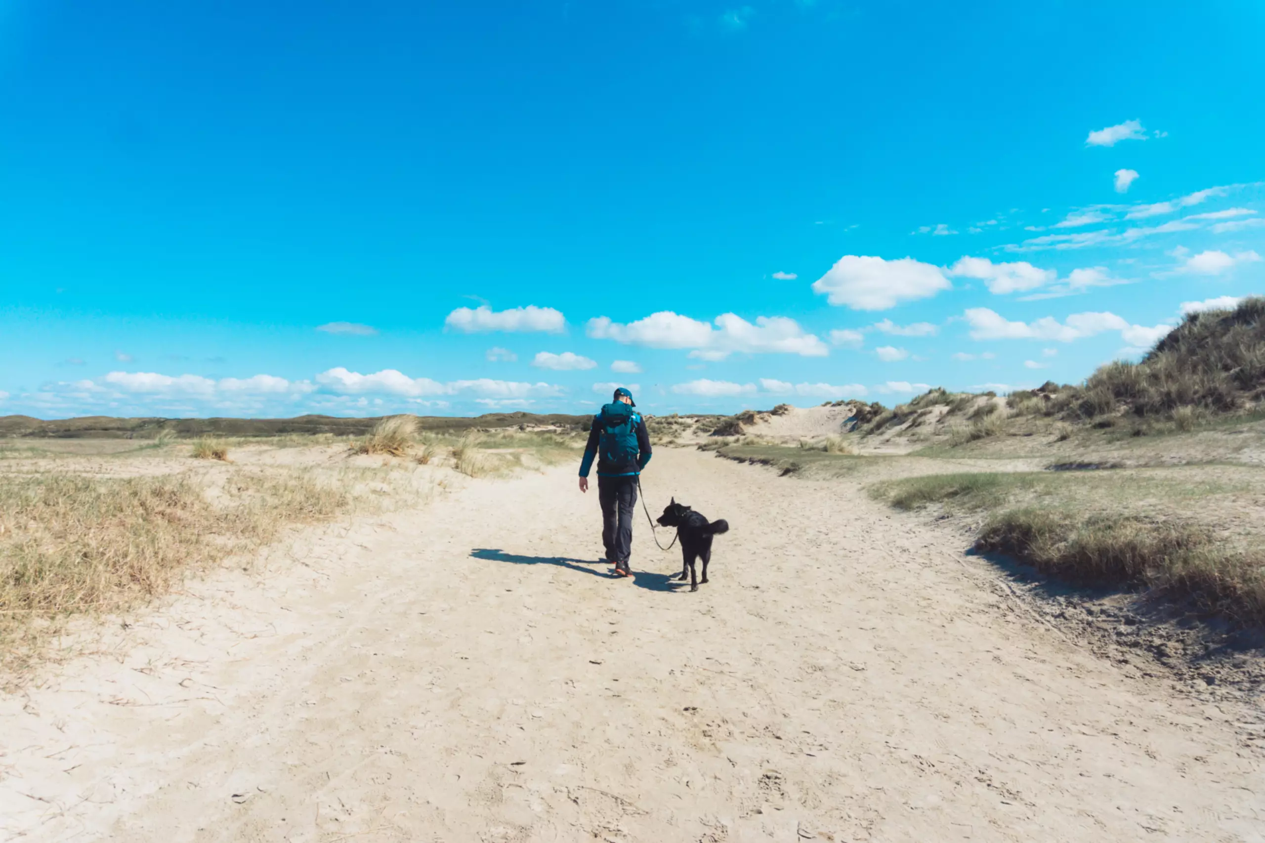Wandern mit dem Hund