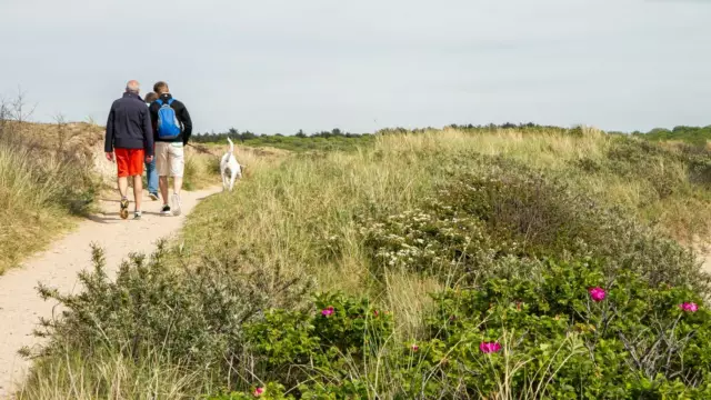 Wandelen in de duinen met hond