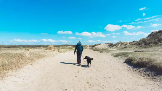Wandelen met hond op Texel VVV Texel fotograaf Kaz Paul van The Hike